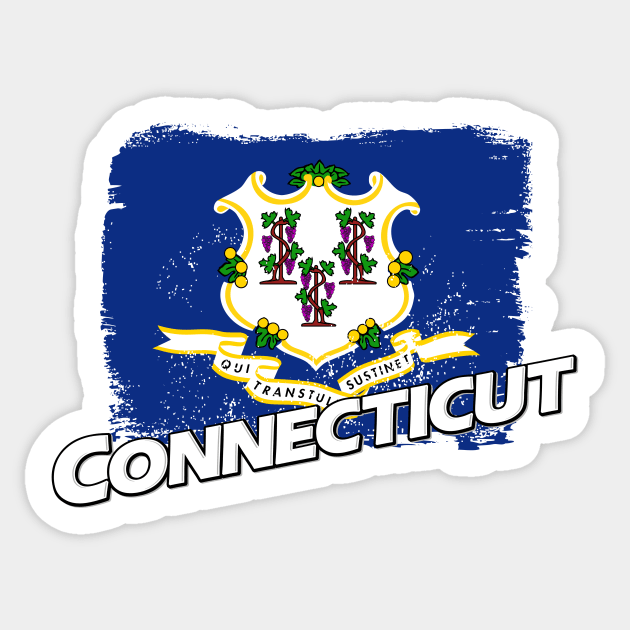 Connecticut flag Sticker by PVVD